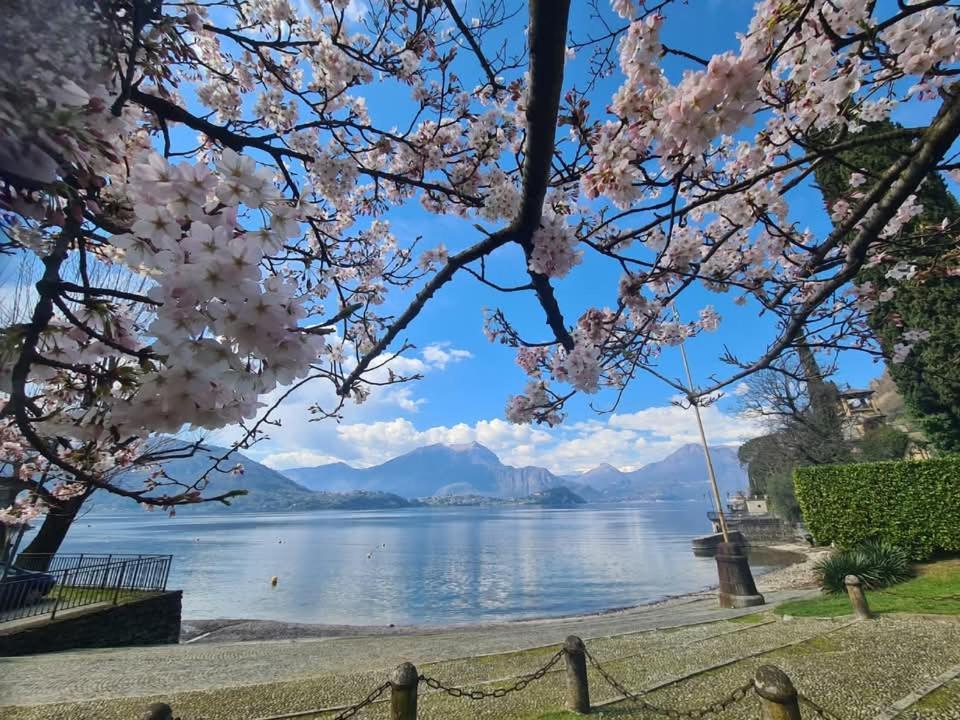 Laura'S Cottage With Lake View, Detached, 5 Kilometers From Varenna ليرنا المظهر الخارجي الصورة